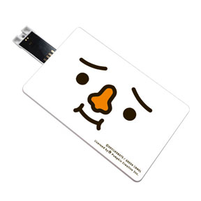USBメモリ名入れ可能